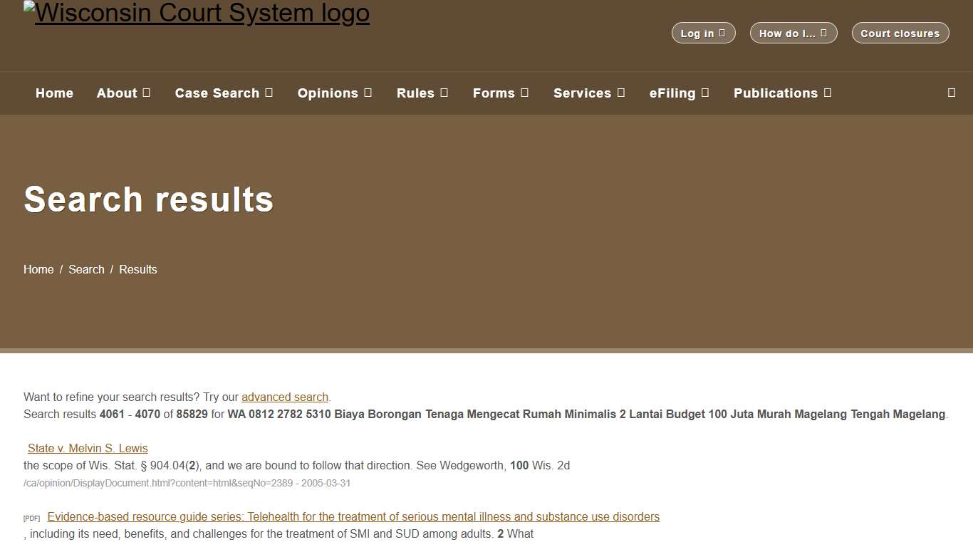 Wisconsin Court System - Search